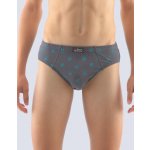 Gina dětské slipy chlapecké, širší bok, šité, s potiskem 61003P dunaj tm. tyrkysová – Hledejceny.cz