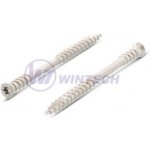 Vrut ter./fas.,dv. záv.,TX20 5,3 x 50A2 Balení: 100 ks SAACK53050AAO0 – Hledejceny.cz