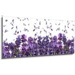 Skleněný obraz 1D panorama - 120 x 50 cm - fresh lavender flowers on white čerstvé levandule květiny na bílém – Zboží Mobilmania