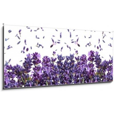 Skleněný obraz 1D panorama - 120 x 50 cm - fresh lavender flowers on white čerstvé levandule květiny na bílém