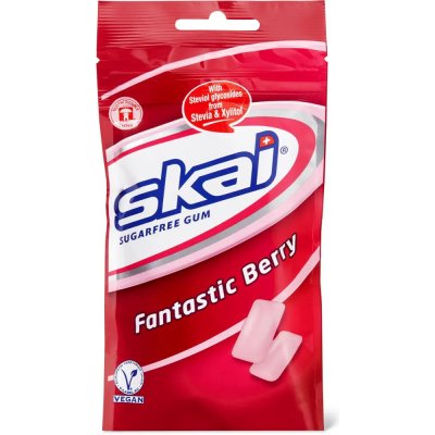 SKAI Fantastic Berry žvýkačky bez cukru 64g – Hledejceny.cz