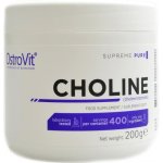 Doplněk stravy OstroVit Supreme Pure Choline 200 g – Hledejceny.cz
