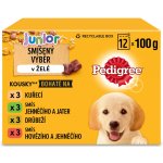 Pedigree Junior kuřecí 12 x 100 g – Hledejceny.cz