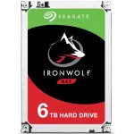 Seagate IronWolf 6TB, ST6000VN0033 – Zboží Živě