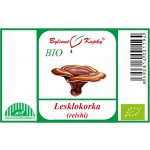 Bylinné kapky Lesklokorka reishi, ganoderma BIO bylinné kapky tinktura 50 ml – Hledejceny.cz