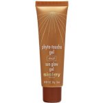 Sisley Phyto Teint Eclat Přírodní make-up 2 Soft Beige 30 ml – Sleviste.cz