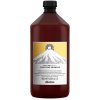 Šampon Davines NATURALTECH Purifying čistící šampon na mastné nebo suché lupy 1000 ml