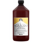 Davines NATURALTECH Purifying čistící šampon na mastné nebo suché lupy 1000 ml – Hledejceny.cz