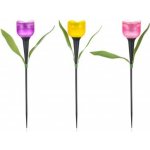 ACTIVER Lampa solární tulipán 30,5 cm, assort – HobbyKompas.cz
