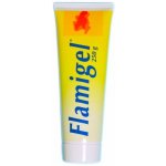 Flamigel hydrokoloid. gel na hojení ran 250 ml – Zbozi.Blesk.cz