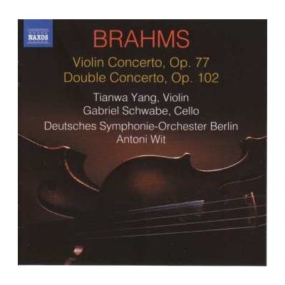 Johannes Brahms - Violin Concerto Op. 77 Double Concerto Op. 122 CD – Hledejceny.cz