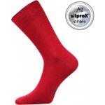 Lonka ponožky Decolor vínová – Zboží Dáma