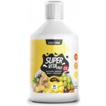 Czech Virus Supervita Pro V2.0 500 ml – Zboží Mobilmania