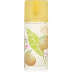 Elizabeth Arden Green Tea Honeysuckle toaletní voda dámská 100 ml – Hledejceny.cz