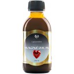 Zdravý Svet Liposomální Magnésium 200 ml – Hledejceny.cz