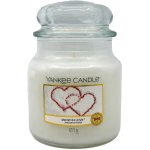 Yankee Candle Snow in Love 411 g – Zbozi.Blesk.cz