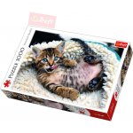 Trefl 10448 Veselé kotě 1000 dílků – Hledejceny.cz