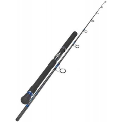 Sportex Mastergrade Tuna Spin 2,4 m 150 g 2 díly – Zboží Mobilmania