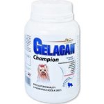 Orling - Gelacan Champion psi barevná plemena 150 g – Hledejceny.cz