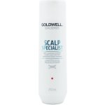 Goldwell Dualsenses Deep Cleansing Shampoo 250 ml – Zboží Mobilmania