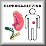 Jantar tinktura 30 ml – Hledejceny.cz