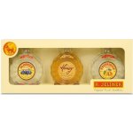 R. Jelínek Slivovice, Bohemia Honey a Hruškovice 3 x 0,2 l (set) – Zboží Dáma