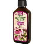 MaxiVita Herbal Bylinný elixír Posílení imunity 260 g 200 ml – Hledejceny.cz