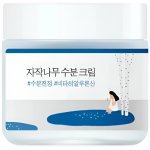 Round Lab Birch Juice Moisturizing Cream s březovou šťávou 80 ml – Zboží Dáma