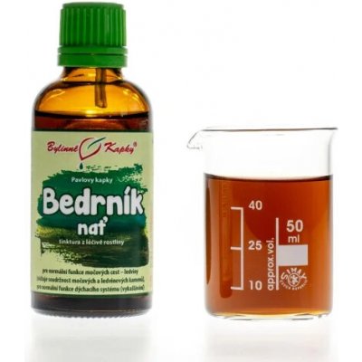 Bylinné kapky Bedrník nať kapky tinktura 50 ml – Hledejceny.cz