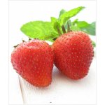 Dekang Classic Strawberry mint 10 ml 6 mg – Hledejceny.cz