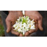 Giorgio Armani My Way parfémovaná voda dámská 90 ml tester – Zboží Dáma