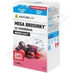 Swiss NatureVia Mega brusinky 60 kapslí – Sleviste.cz