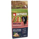 Ontario Adult Large Chicken & Potatoes 12 kg – Hledejceny.cz