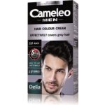 Delia Cameleo Men barva na vlasy 1.0 Black 30 ml – Zboží Mobilmania