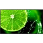 NEC MultiSync E988 - 98 – Zboží Živě