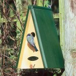 CJ Wildlife Miami budka pro ptáky 19,5 x 16 x 30 cm dřevo – Hledejceny.cz