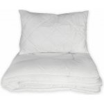 2G souprava Aloe Vera 40x60 100x135 – Zboží Dáma