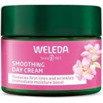 Weleda Divoká růže a bílý čaj rozjasňující noční krém 40 ml – Zboží Dáma