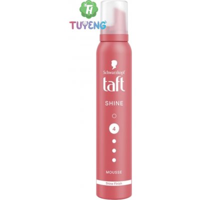 Schwarzkopf Taft Shine pěnové tužidlo na vlasy 200 ml – Hledejceny.cz