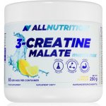 AllNutrition 3-Creatine Malate Muscle Max 250 g – Hledejceny.cz