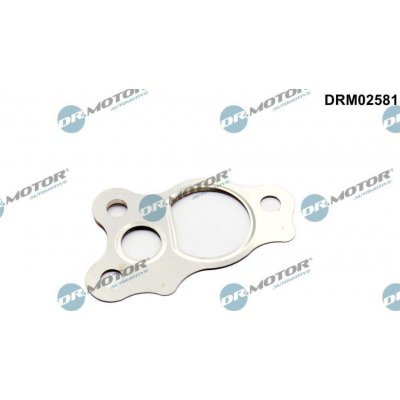 Dr.Motor Automotive DRM02581 – Hledejceny.cz