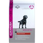 Eukanuba Labrador Retriever 2,5 kg – Hledejceny.cz