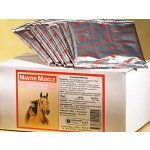 Biofarmab Master Muscle pro koně 30 x 20 g – Hledejceny.cz