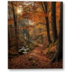 Plakát – Podzimní lesní cesta u potoka 100 × 125 cm Bez rámu Ne Bez rámu – Hledejceny.cz