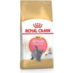 Royal Canin BritISH Kitten Shorth 10 kg – Zboží Mobilmania