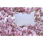 Ložnice21. Polštář Lyocell 2ks zip+vak 900 g 70x90 – Hledejceny.cz