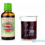 Bylinné kapky Pavlovy bylinné kapky Shuang Huang Lian Netopýr 0 tinktura 50 ml – Hledejceny.cz