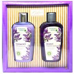 Bohemia Herbs Lavender sprchový gel 250 ml + vlasový šamon 250 ml dárková sada – Hledejceny.cz
