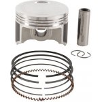 Vertex TRX 250 TE/TM FOURTRAX RECON | Zboží Auto