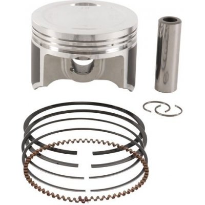 Vertex TRX 250 TE/TM FOURTRAX RECON | Zboží Auto